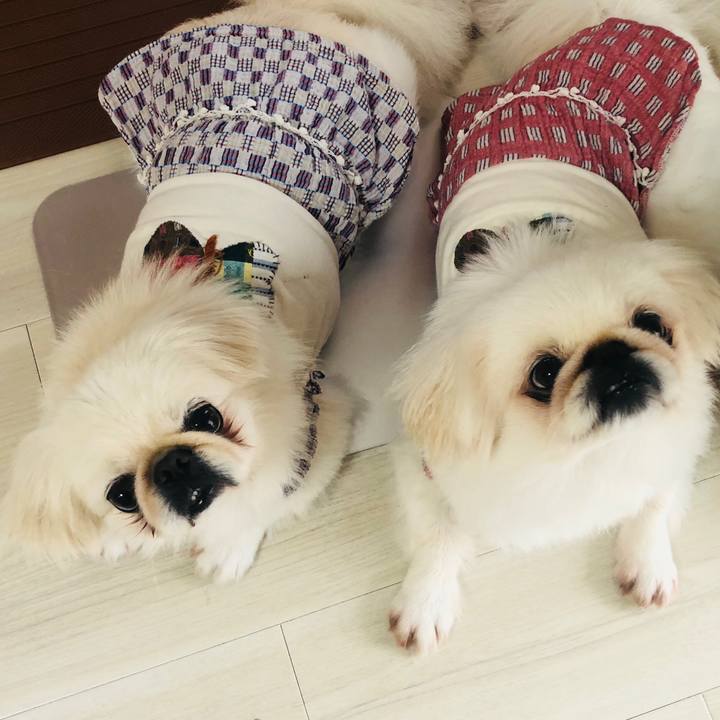 5a0c7c56 4755 4434 841d e75503d65e62 1569200993940