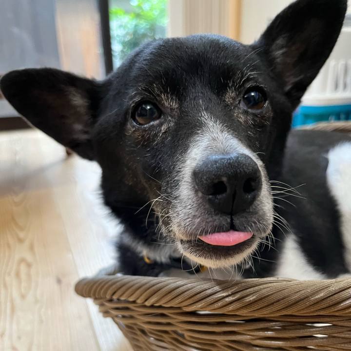 5a0c94ac f15d 48ba b92e 203ac0ba01cf 1654427257513