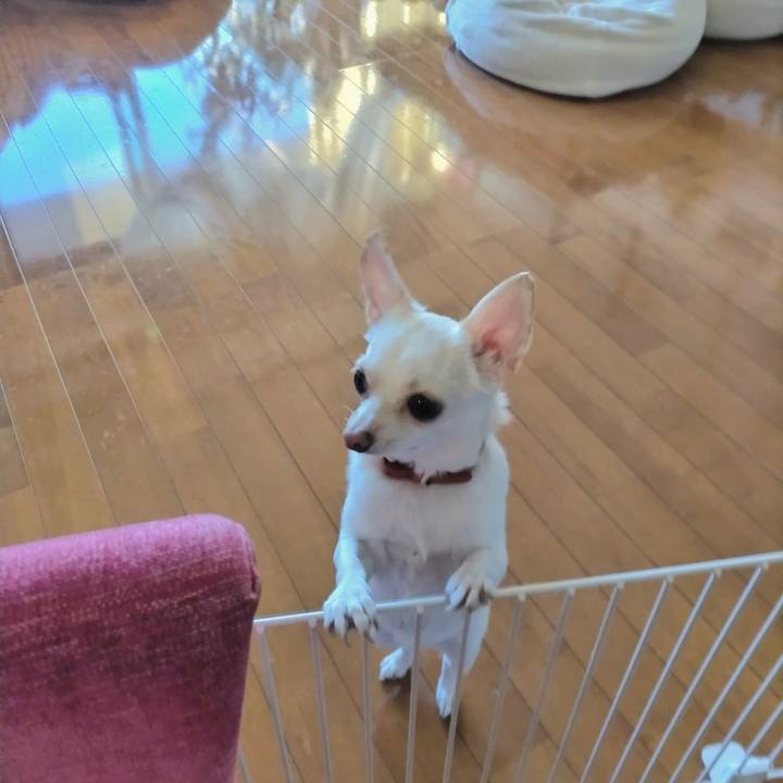 5a0cb499 b7f8 4887 8cfb 47d78067d84c 1739571302708