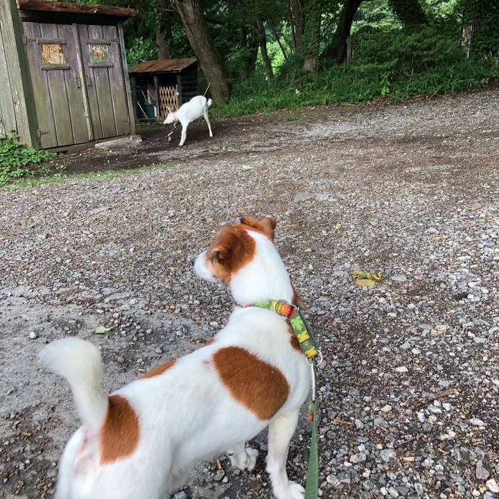 5a0cdf00 a589 4afe a0e4 95df92b41973 1534857366981