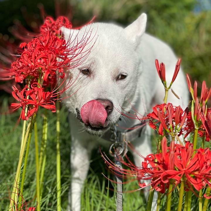 5a0ce5bd 42dc 47b2 87c3 04a0d1e4df72 1663282813146