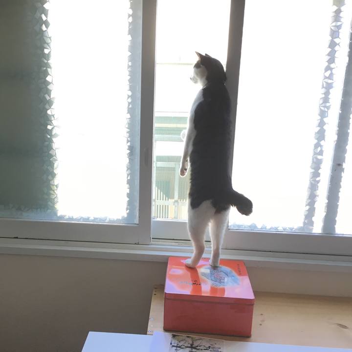 5a0d1ac7 9025 4f38 bda6 dd32887bf092 1547814647370