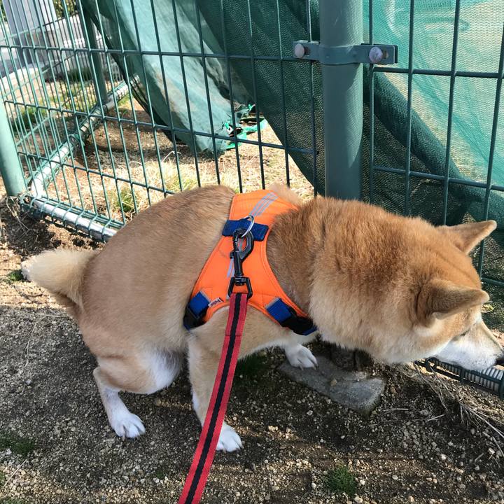 5a0d6362 5b15 4197 a46f 04e828a76537 1516346050457