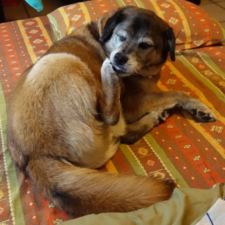 5a0d88ac 46bf 4033 8e97 8eb46e48773c 1670285780857