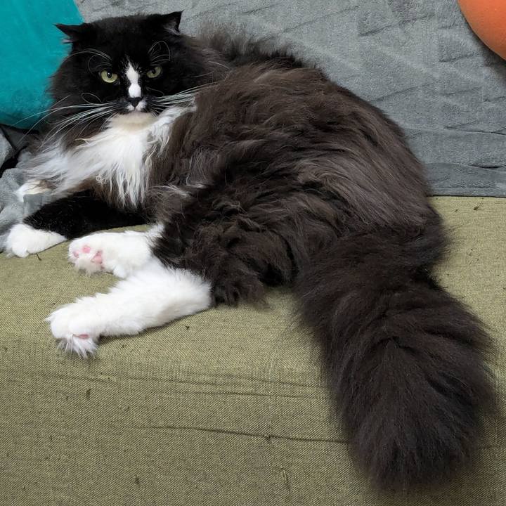 5a0db9a4 2a06 42c6 aba2 748a60cfd6ce 1729685179923