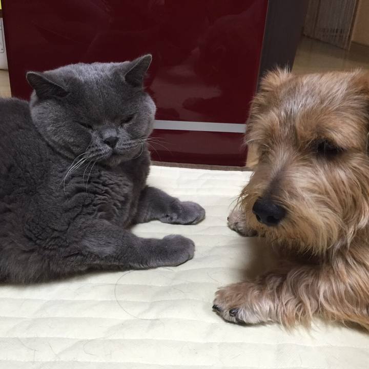 5a0dca19 d7d6 4d9c 94be 27435c0d1ec5 1773479636066