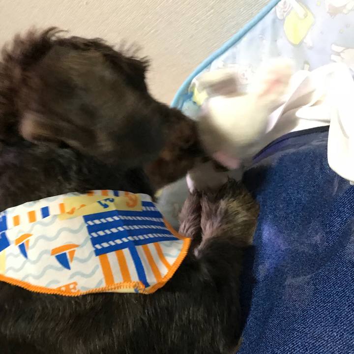 5a0dfb9c 7cf4 4a6f a3a7 cf0e5843069d 1534083360992