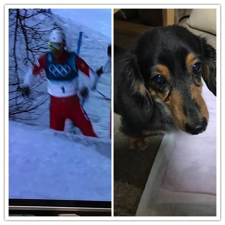 5a0e3c2a be16 4b2c b76a d7e911cea802 1519134376255