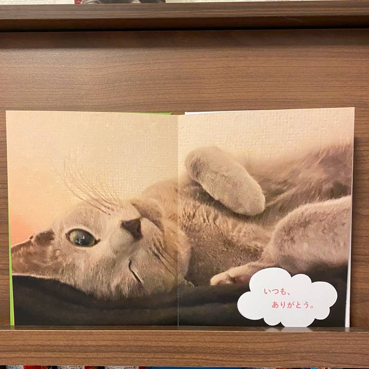 5a0e5070 71ec 4275 823a 42fb1103b41a 1625023301575