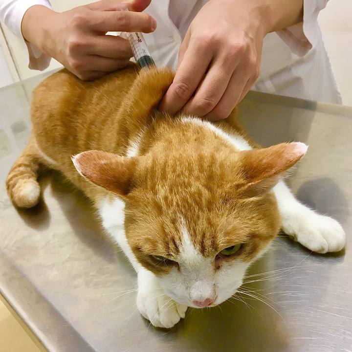 5a0e63b6 6847 4862 8b08 78c1369ea7eb 1571640258939