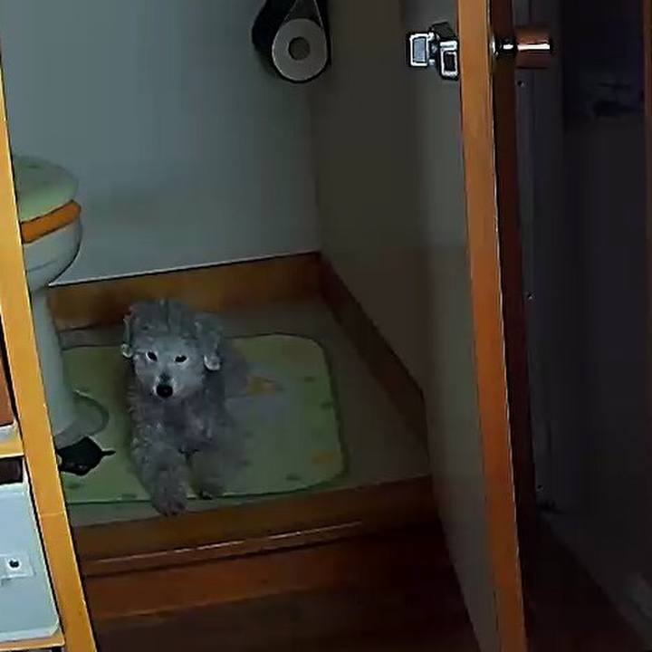 5a0e64fd f723 441f b91a f6649d6c8d27 1582170475412