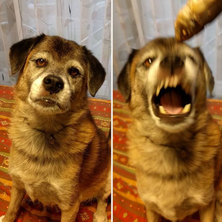 5a0e8f6b 5f38 4c26 914a d7524398aa61 1537261317968