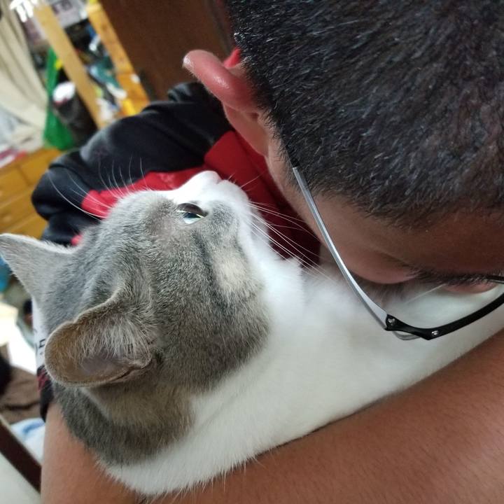 5a0ea213 c916 49fc 9dcb 0882328c53fa 1624455187469