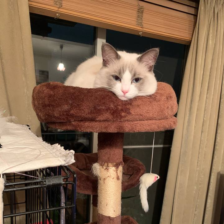 5a0ee5d2 e0d5 4e66 a00d 01e60d3ca74d 1631540020996