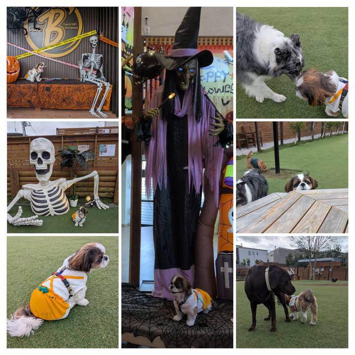 5a0f1b5e 35fe 428a aca2 9b2e79d04d4c 1760770716275