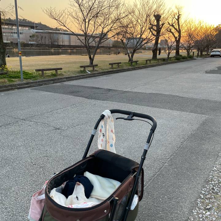 5a0f20cf 7b32 471f a7eb 0283b3fd5971 1678184625880