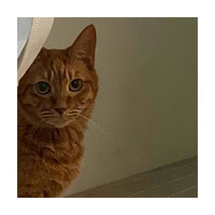 5a0f299a 407e 4939 bb11 0465e26e4ded 1670069245146