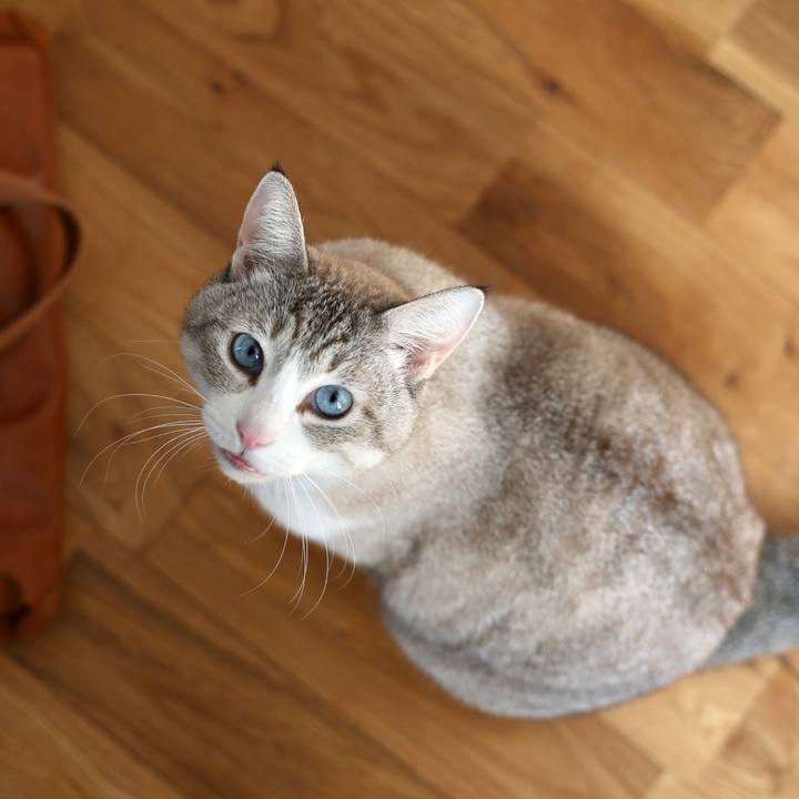 5a0f4ec3 459b 49a4 a27c 1226db9c07d1 1675775534241