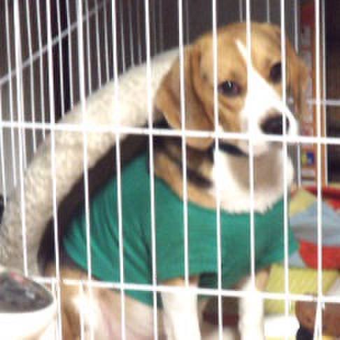 5a0f5abb ce27 45c3 b1f6 c1fed9b506ef 1706148002995