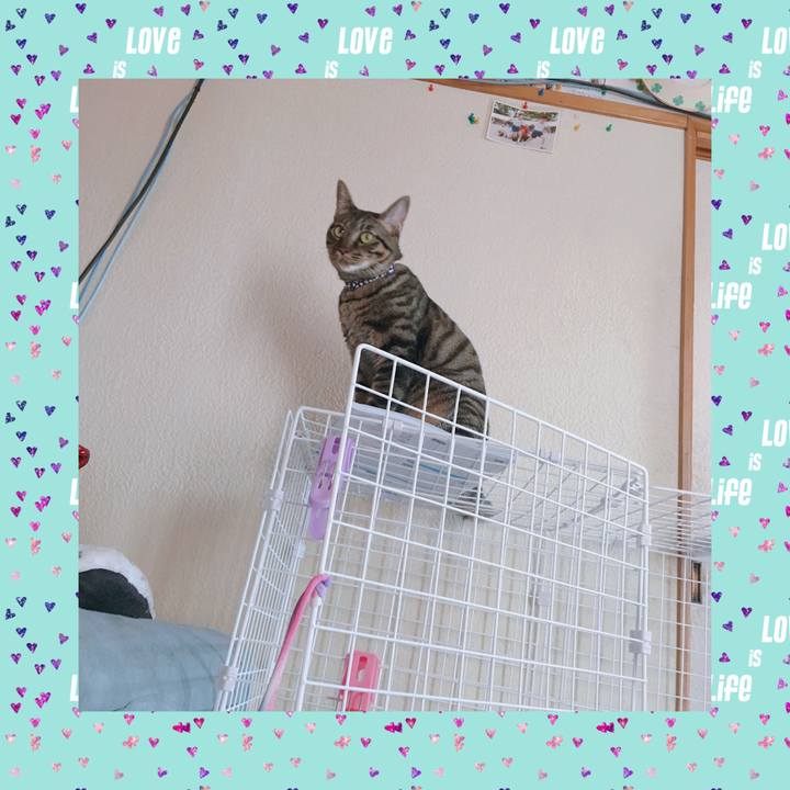 5a0f76c9 6418 4331 b109 b01d4d2cde4e 1568686169583