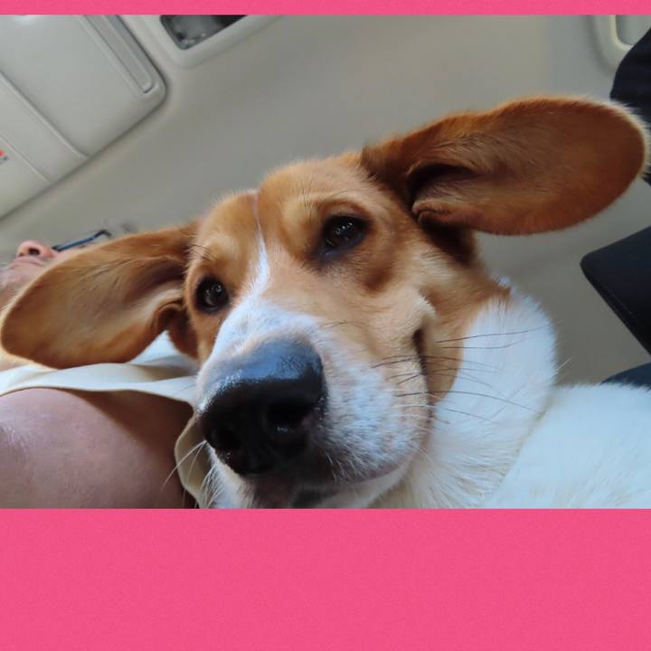 5a102f8b b858 40f0 aeac 0f07886e5bbc 1620010018863