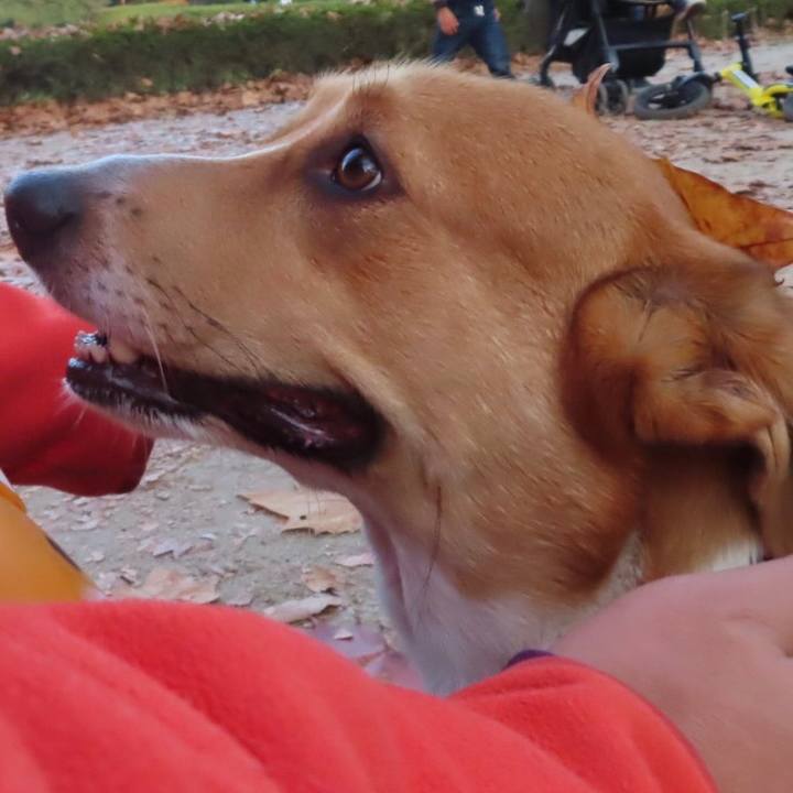 5a104730 ffbf 44b9 8461 d6a7832fed52 1638491860117