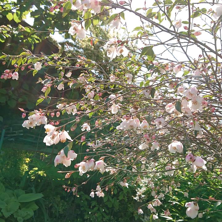 5a104c2d d7ce 4c61 9686 a5f952888156 1650158022846