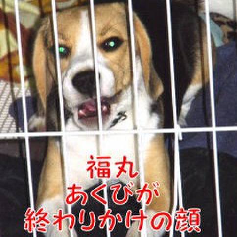 5a10632d 2dd9 4e6b 8a49 1b61de441bef 1681174371159