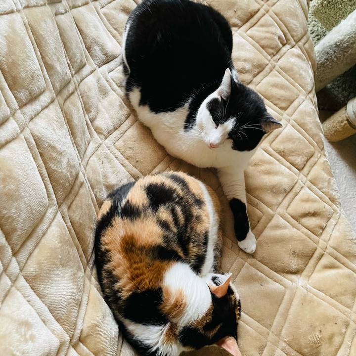 5a10be09 9cf2 4db2 8296 8d885ea69bb5 1645666119099