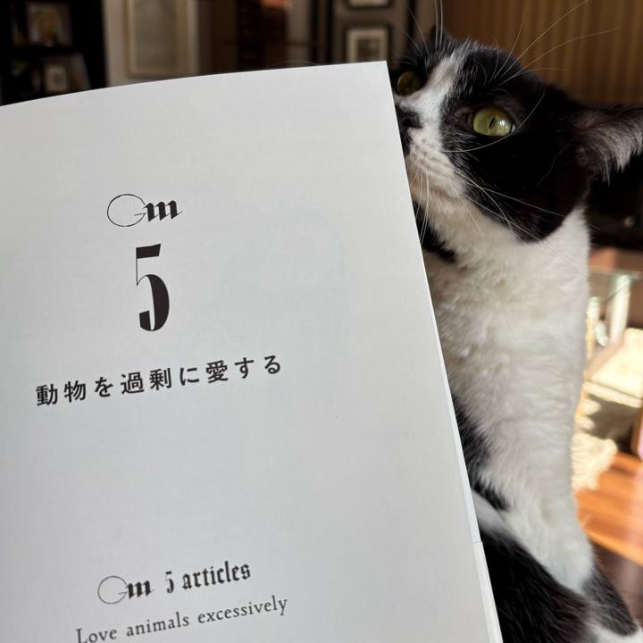 5a10d82d a606 4051 8976 54ab5d3d98aa 1765883922509