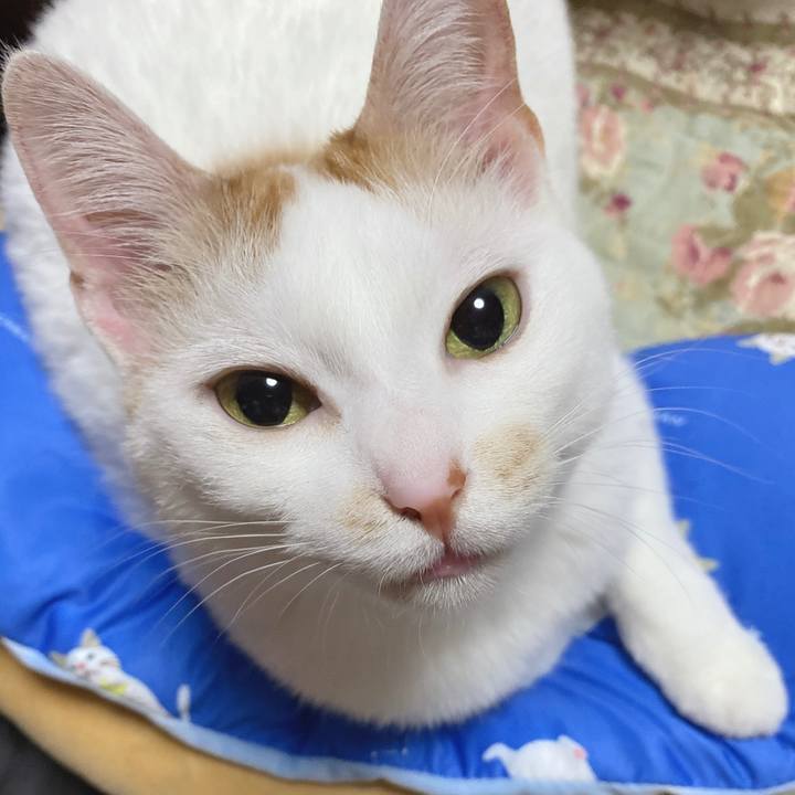 5a10e7bb d241 4d93 b3bb 99cb07d35f61 1620479051200