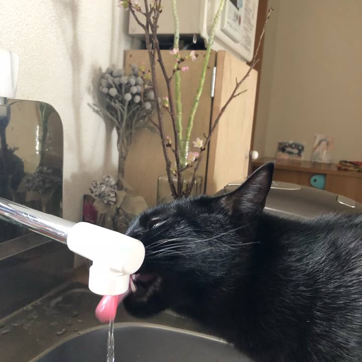 5a11021e d723 49be 867d bc7da5fd04bd 1520724687895