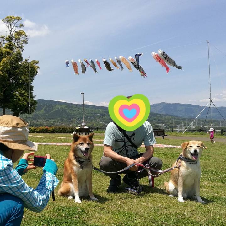 5a111119 3650 4129 a246 9223254b665d 1557025896726