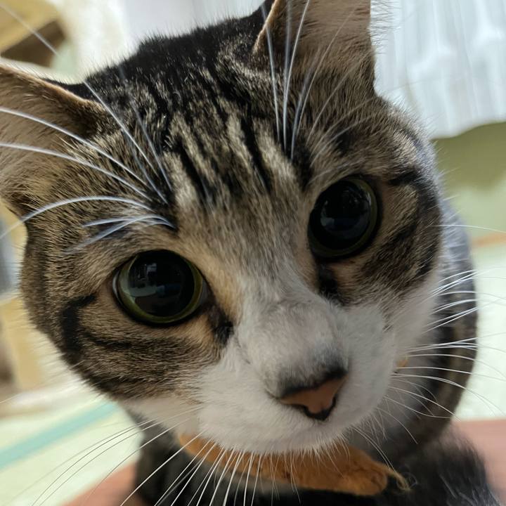 5a111979 c2ba 4d52 8739 2b454f059942 1767069504663