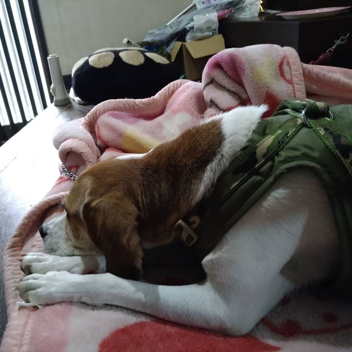 5a111bea 33a1 4d58 ae3f 66162a387317 1665976771474