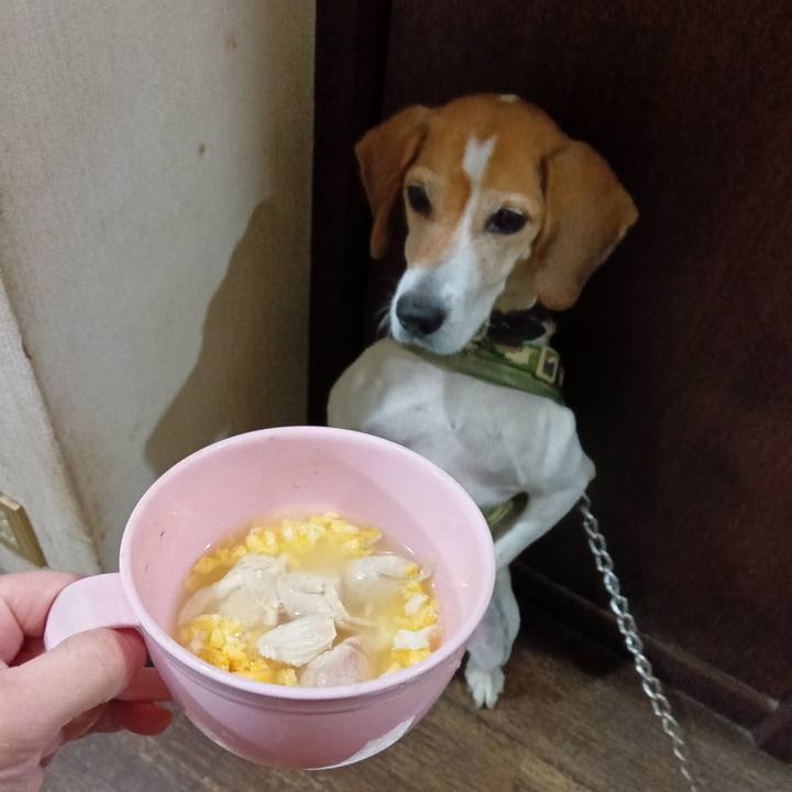 5a1128bf 8b82 4eae a006 b10c7373c0b9 1731232530343