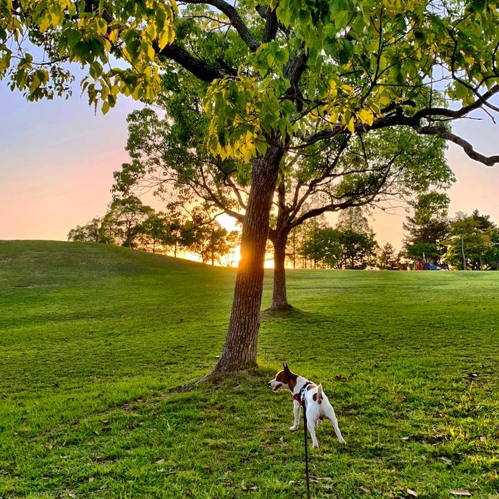 5a11415d b257 4542 ad2e 093ac20f417f 1558697824134