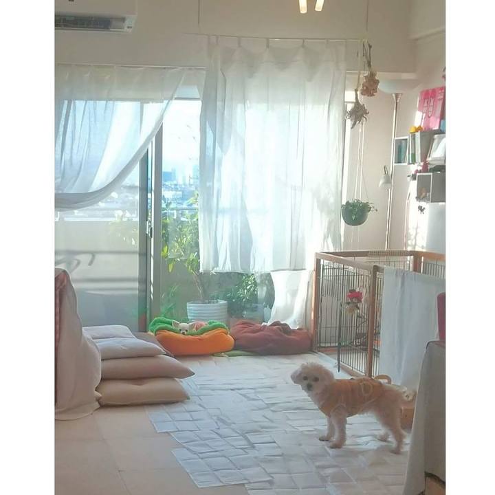 5a119859 ce26 435e 83b8 510b0e4e3ecf 1680153232020