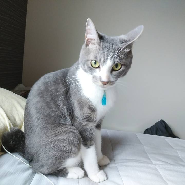 5a11be54 7e36 40fb ad4f c6ecdc00729d 1593987880267