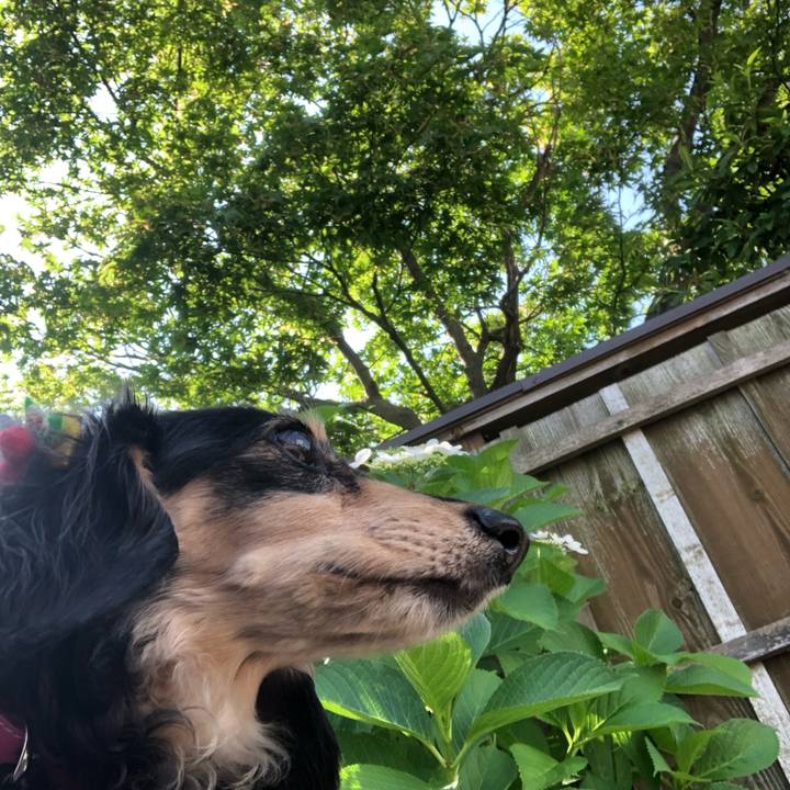 5a11f15a c805 47e6 85f0 f0d99657daf2 1559780810784