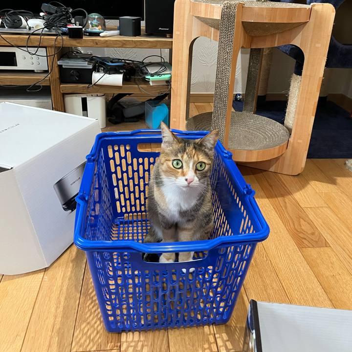 5a11f792 8fab 4dd4 8ef7 7c307e84c13e 1686112569602