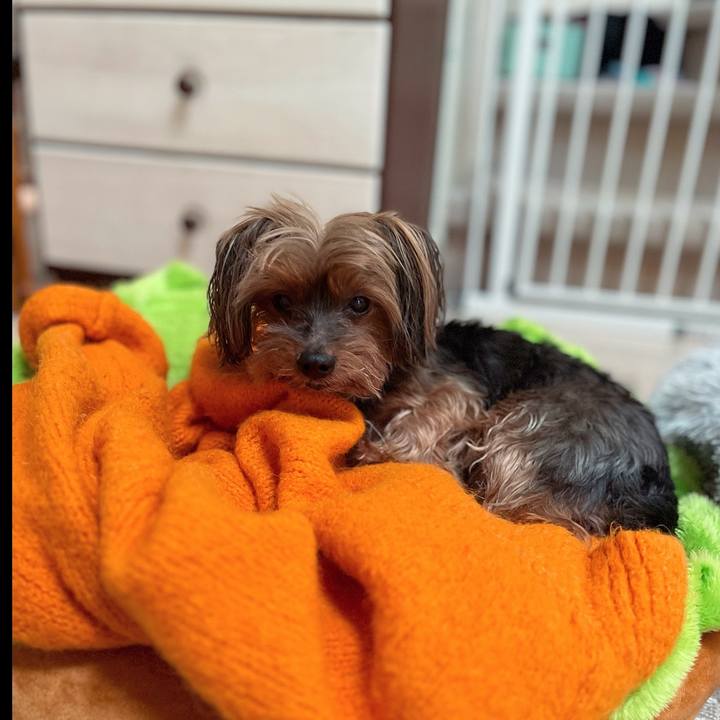 5a120128 ee27 486a aeea 624726acd839 1699161086275