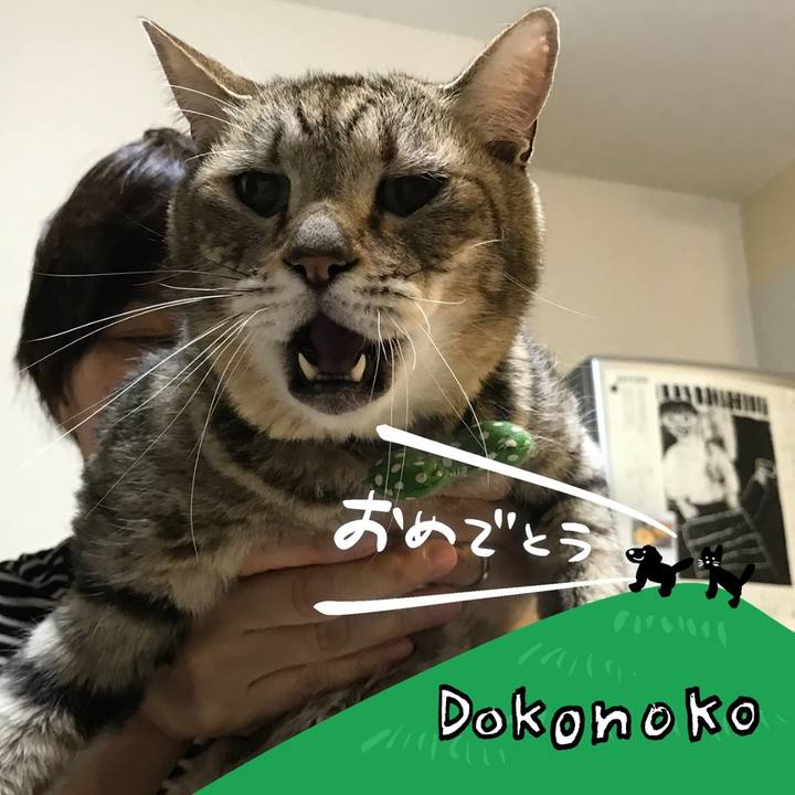 5a120303 e99b 48bd a6c5 ce2739081079 1685960035405