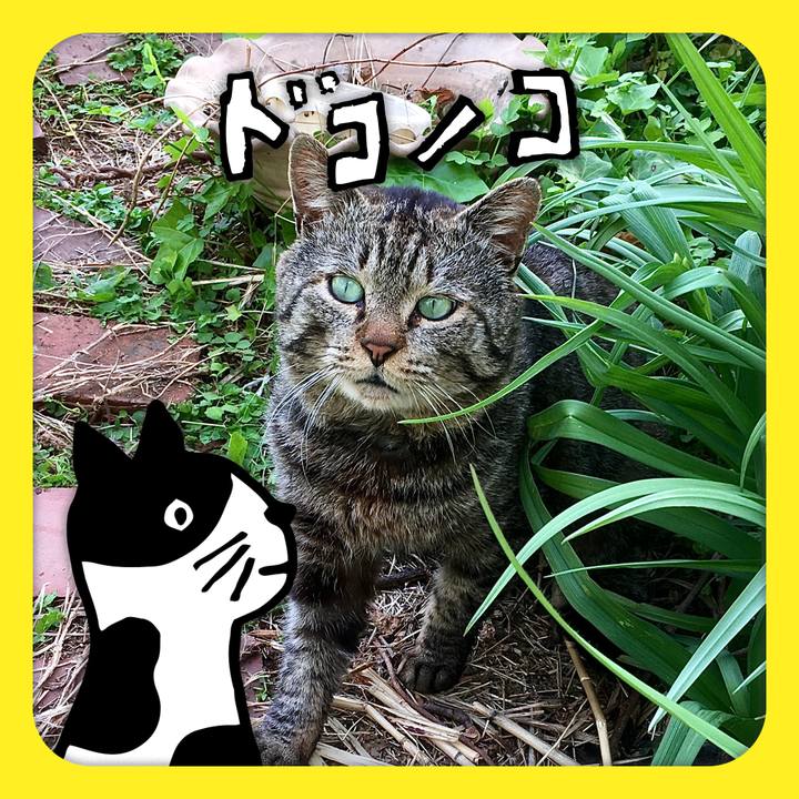 5a120814 4679 44cf 9cd5 71a92c8b7c19 1622870803727