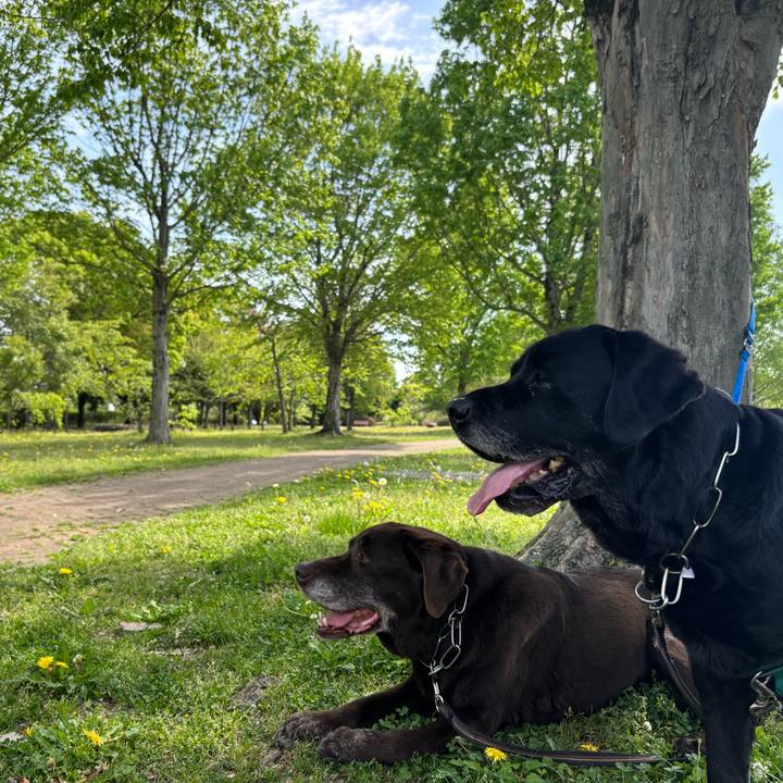 5a1241f8 19d6 41ea a466 e02c5b3f8898 1776687042608