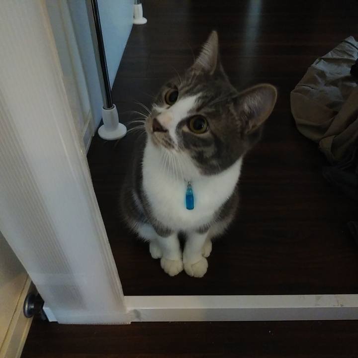 5a1247b5 8c3e 4c8c a629 d94dbd08e9bf 1577229988220