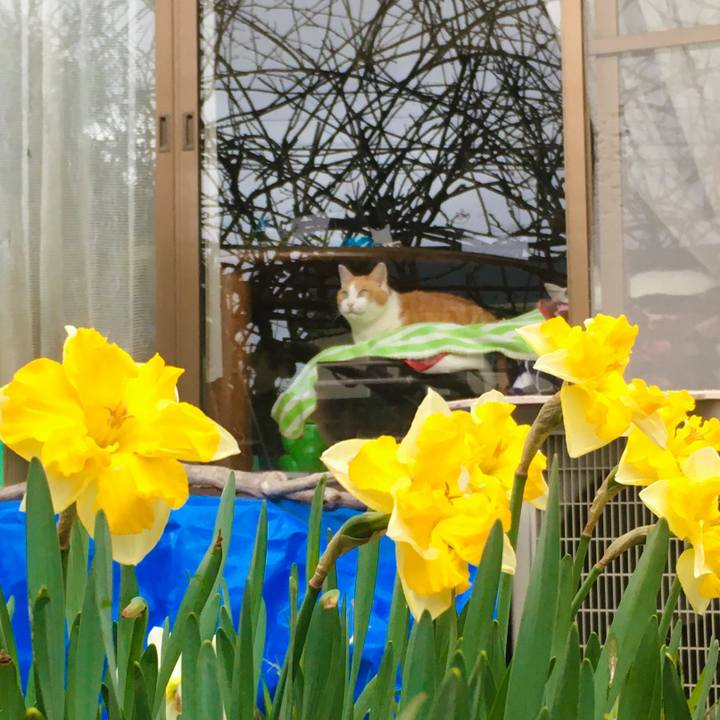 5a126e66 96b5 4f08 a3fa 636773195eef 1617611133312