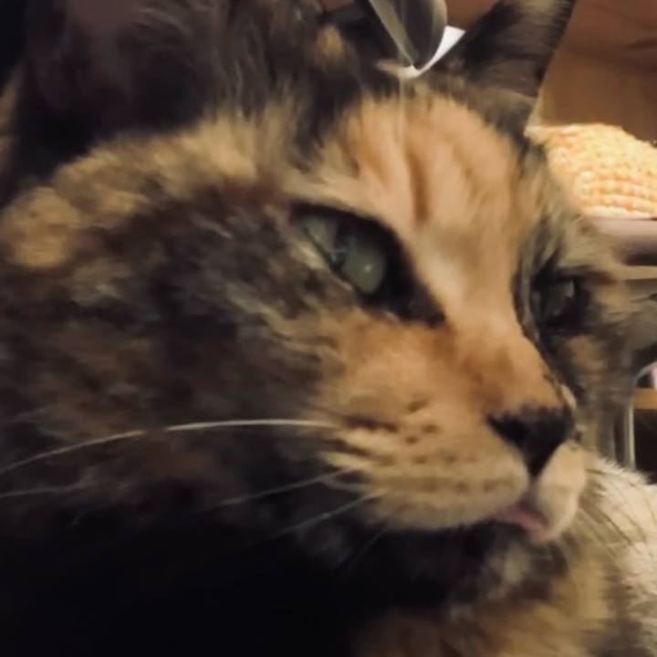 5a12932a 3938 4951 b9cb 3604e1a7ab76 1738056419598