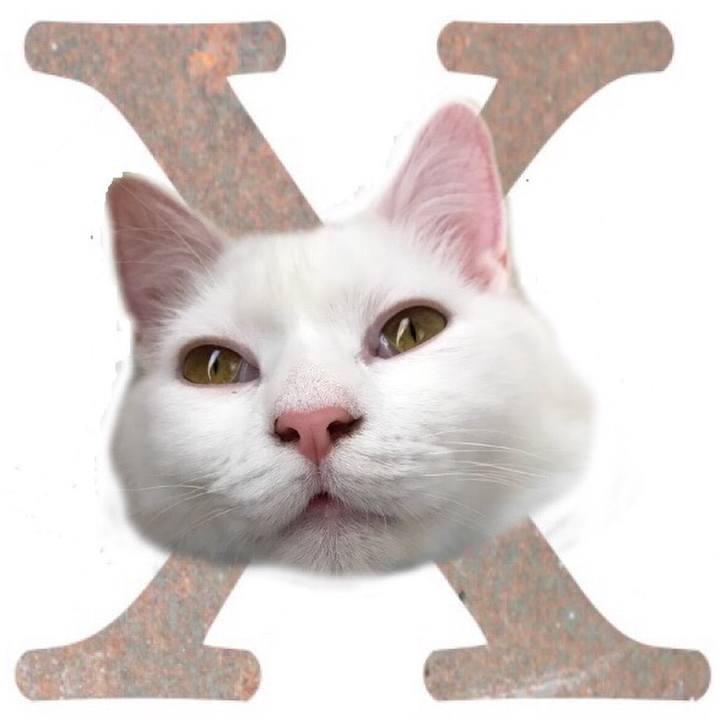 5a129cf1 487c 4dda 8071 da7a3bde4d06 1529755205036