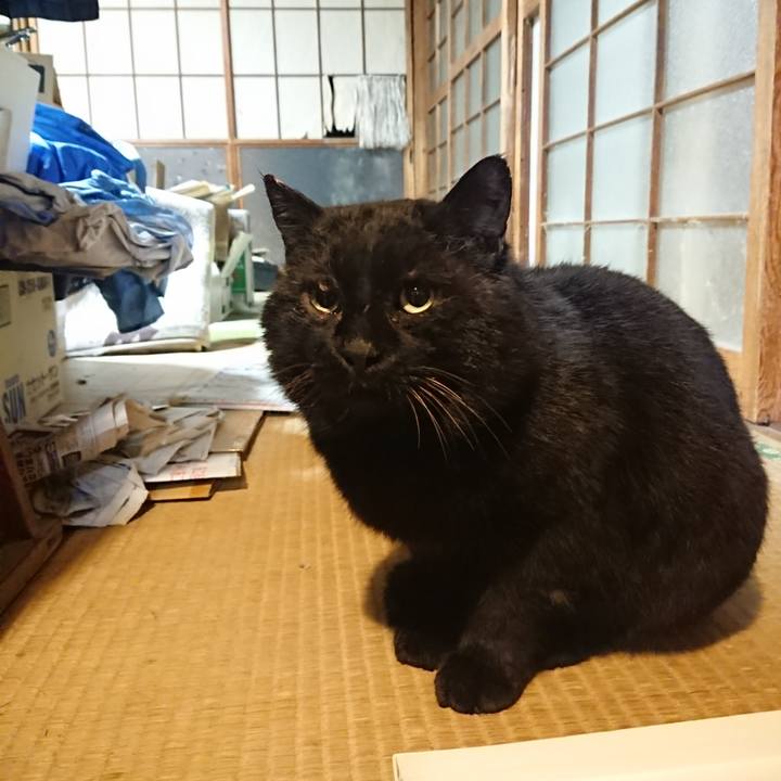 5a129fa9 7ffa 4d93 bd16 022a5490399b 1615028580190